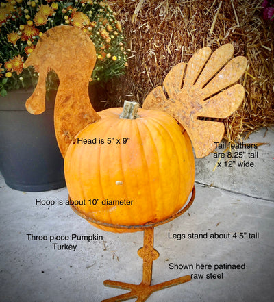 Turkey Pumpkin-N3