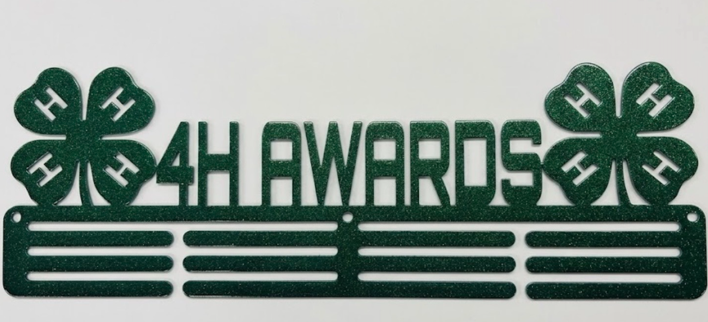 4-H Award Hanger