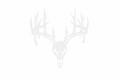 Buck Skull -T3