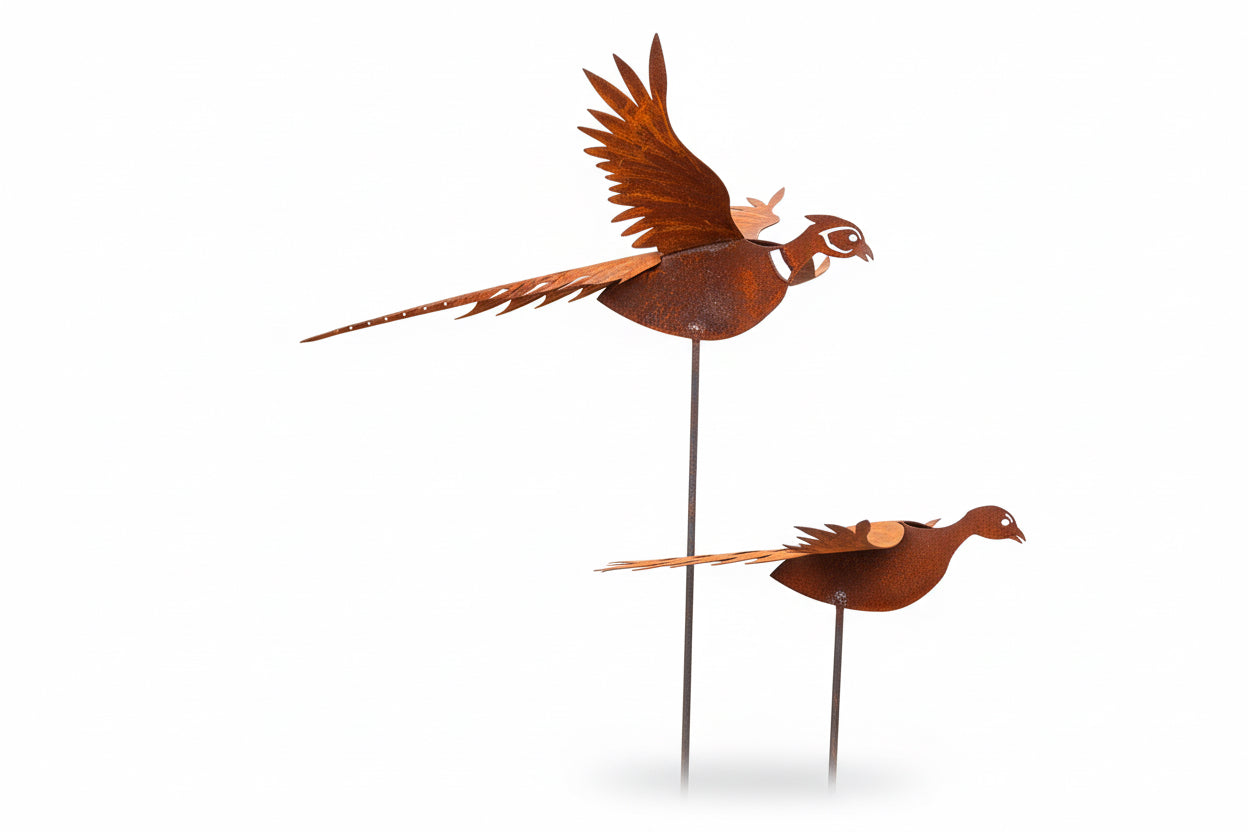 Pheasant
