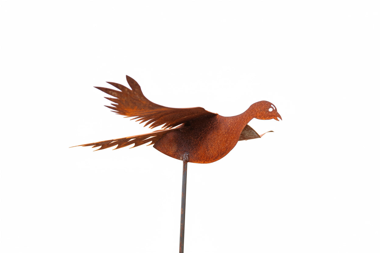 Pheasant