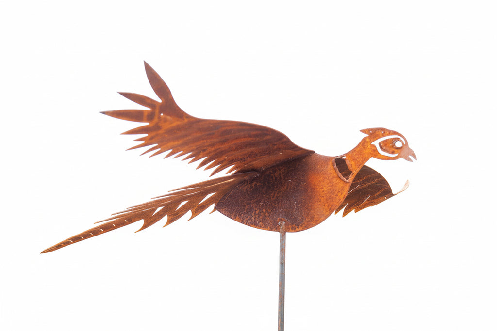 Pheasant