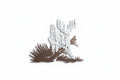 Jumping Buck