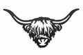 Highland Cow