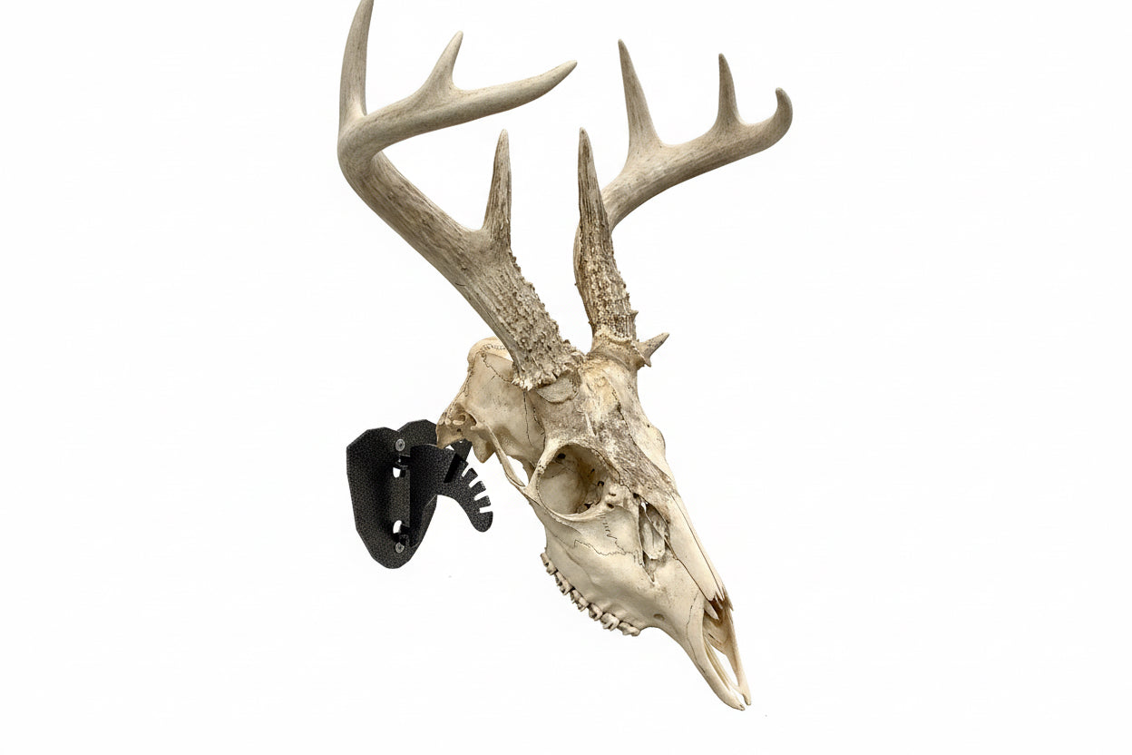 Skull Hanger Wall Mount-M2